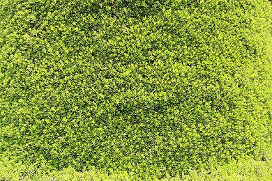 开发者介绍《巫师3：狂猎》维瑟米尔之死的创作思路